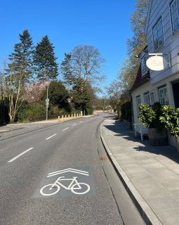 elbchaussee_Fahrrad